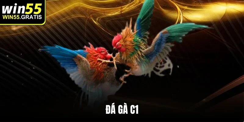 Đá gà C1